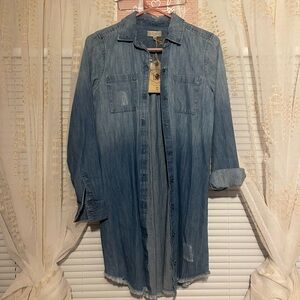 True Craft Denim Dress